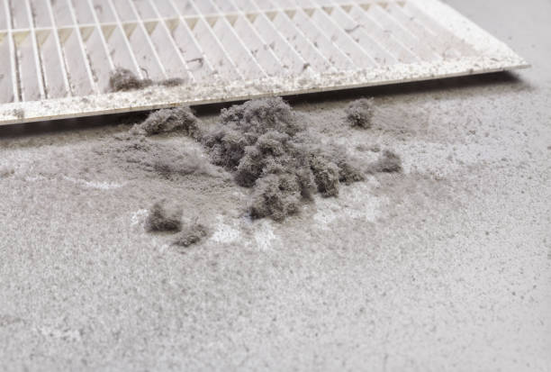 Best Professional Duct Cleaning Services  in Buckley, WA