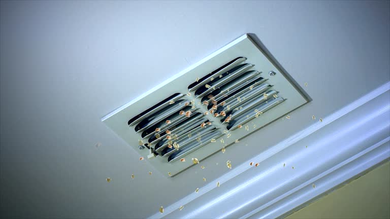 Best Affordable HVAC Duct Cleaning  in Buckley, WA