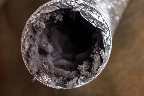 Best Air Vent Cleaning Services  in Buckley, WA